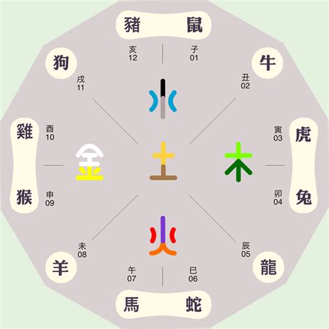 紫色五行|十二地支与色彩的五行属性